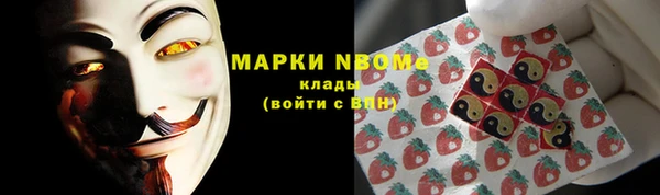 гашик Елизово