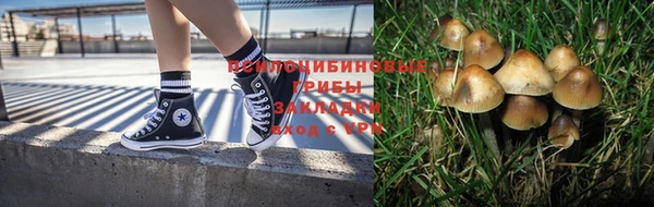 гашик Елизово