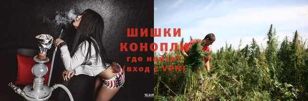 spice Елабуга