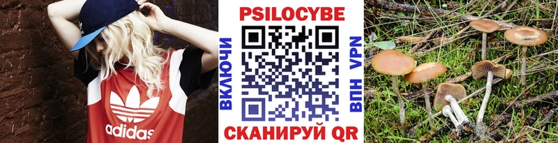 Купить  Кирсанов  Псилоцибиновые грибы MAGIC MUSHROOMS 